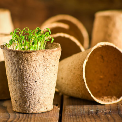 eco-friendly plant pot